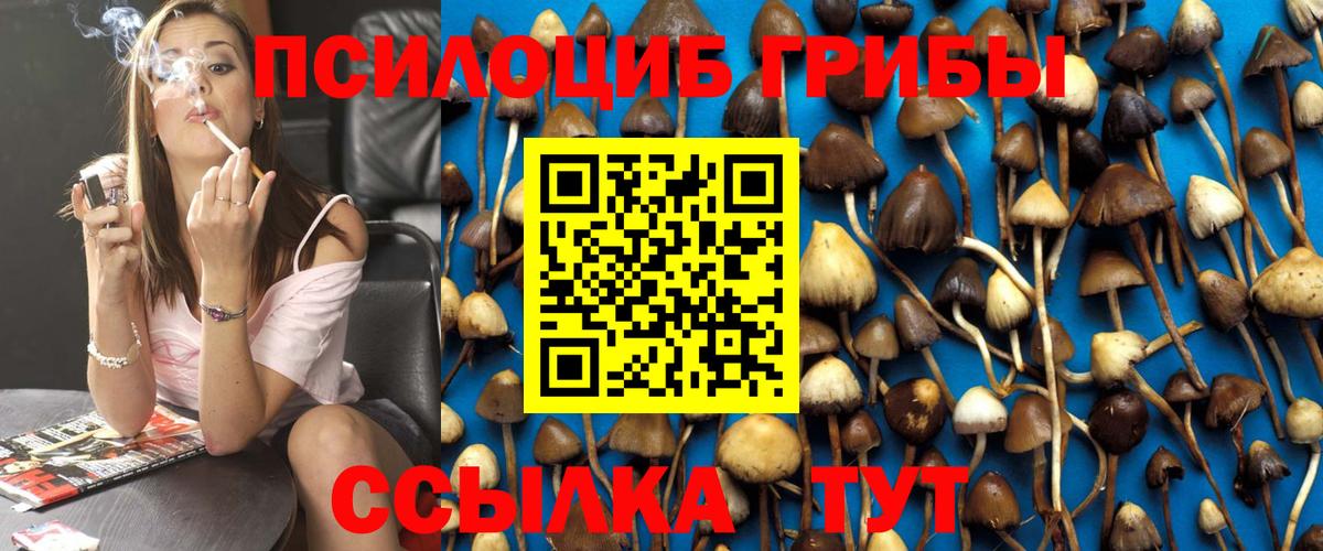 Павловский Посад  Псилоцибиновые грибы MAGIC MUSHROOMS  Вход с VPN 